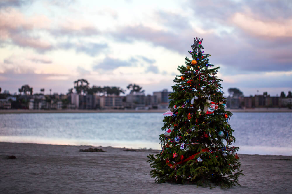 Spend the Holidays in Beautiful San Diego